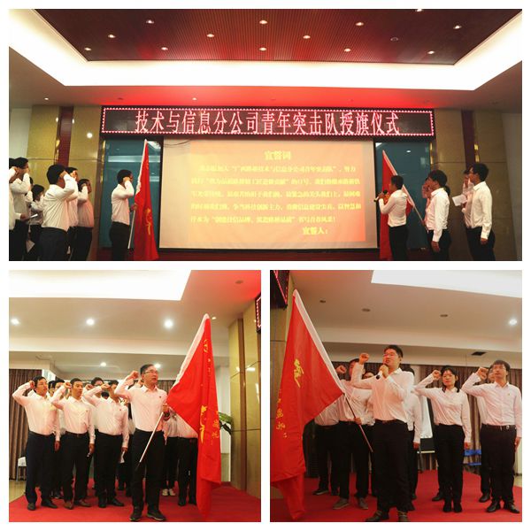 9001诚信金沙(中国)有限公司